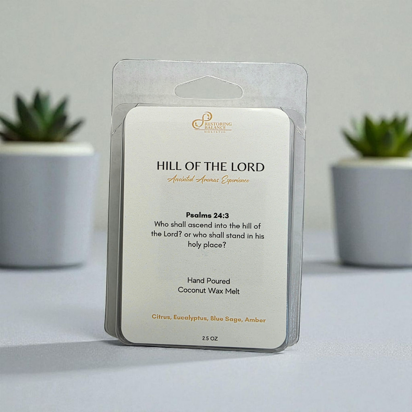 Hill of the Lord Anointed Wax Melt - Restoring Balance Shop