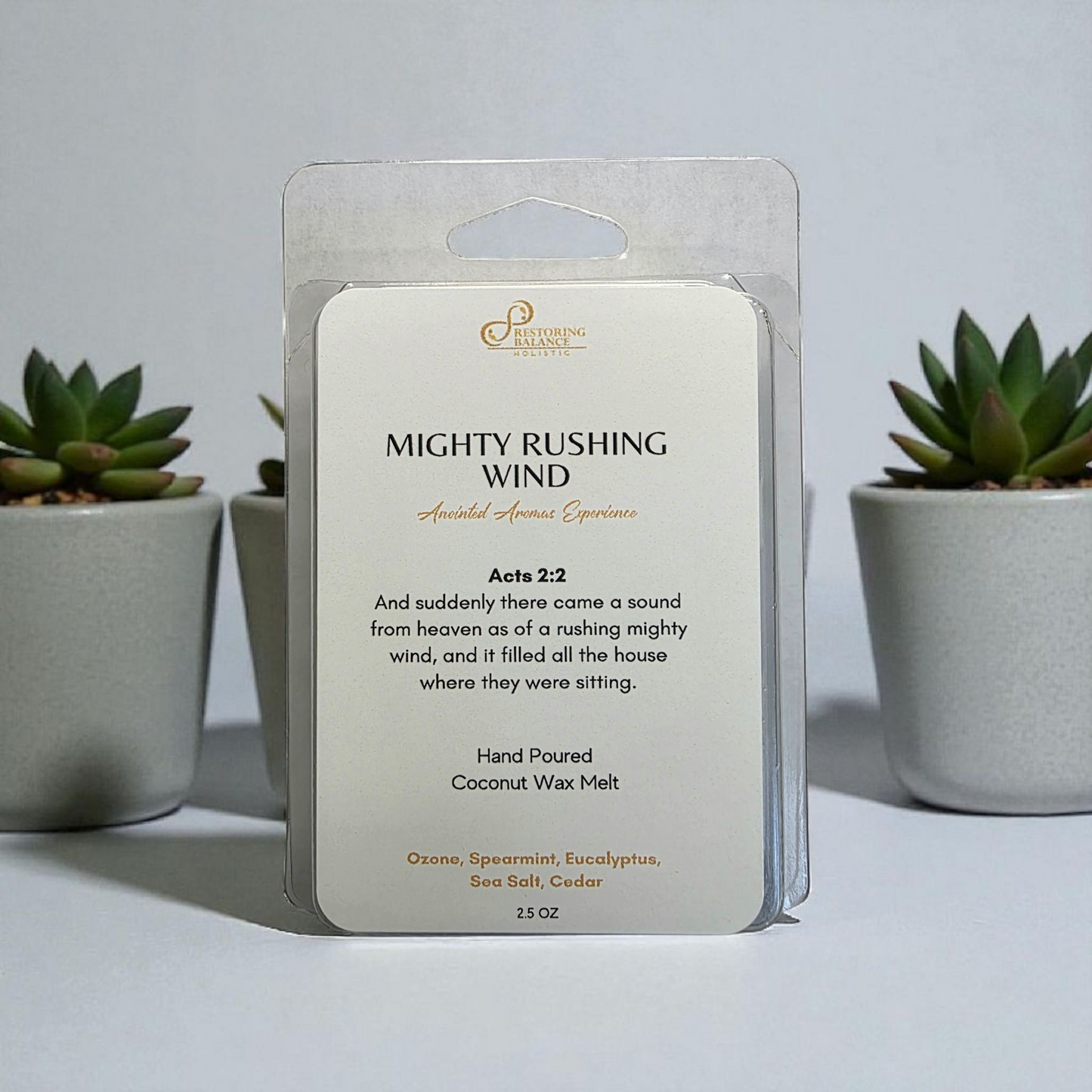 Mighty Rushing Wind Anointed Wax Melt - Restoring Balance Shop