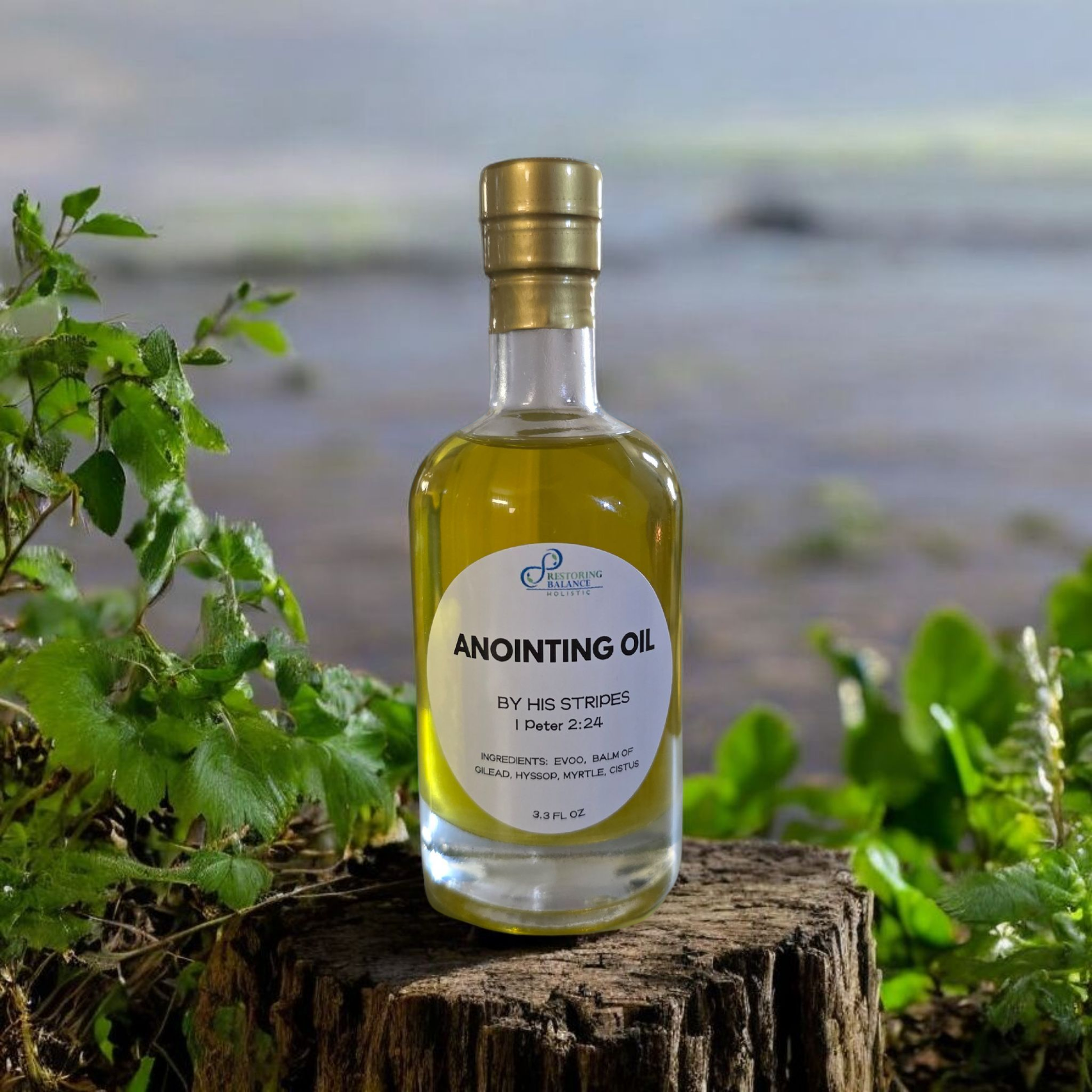 Anointing Oil - By His Stripes - Restoring Balance Shop
