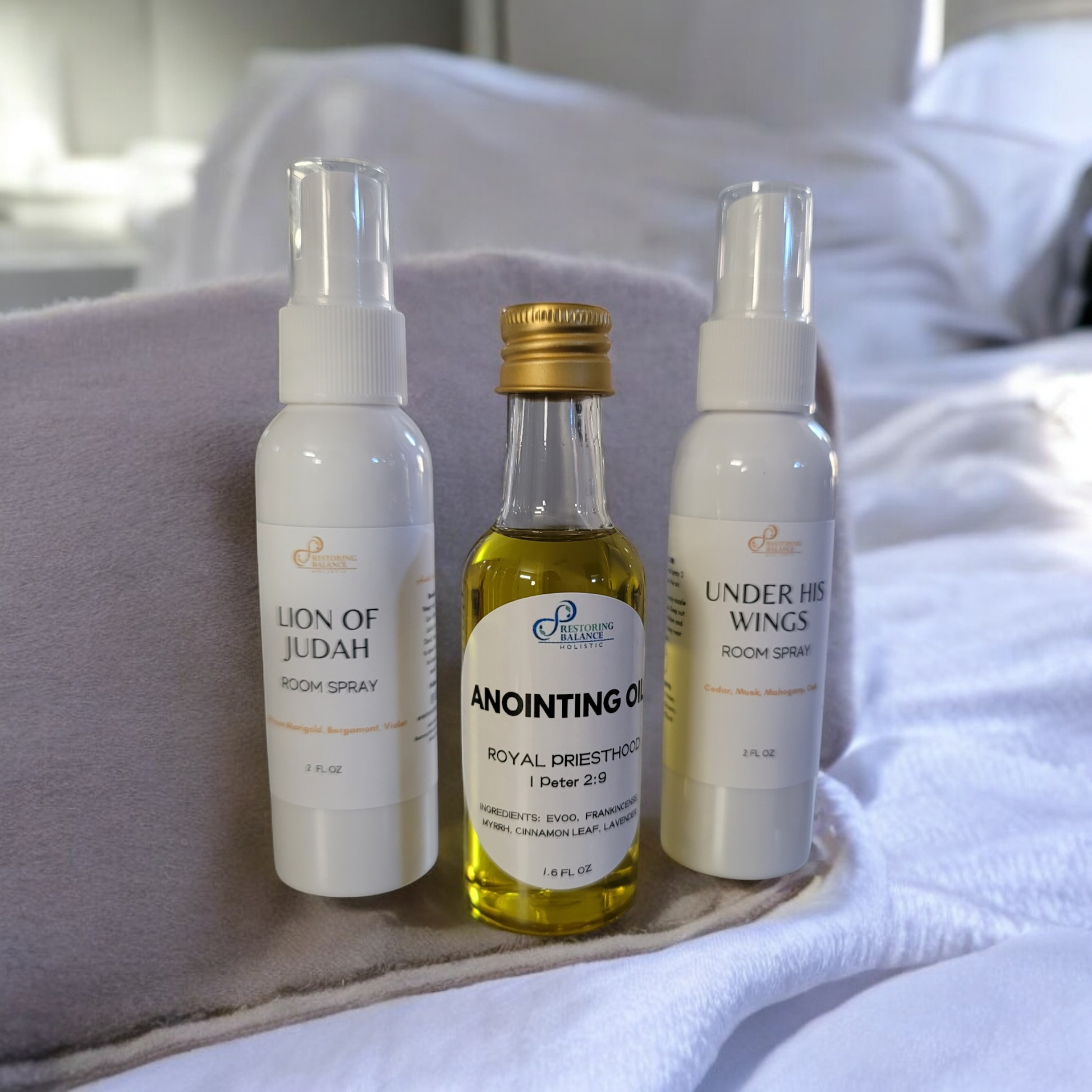 Kingdom Travel Kit - Restoring Balance Shop