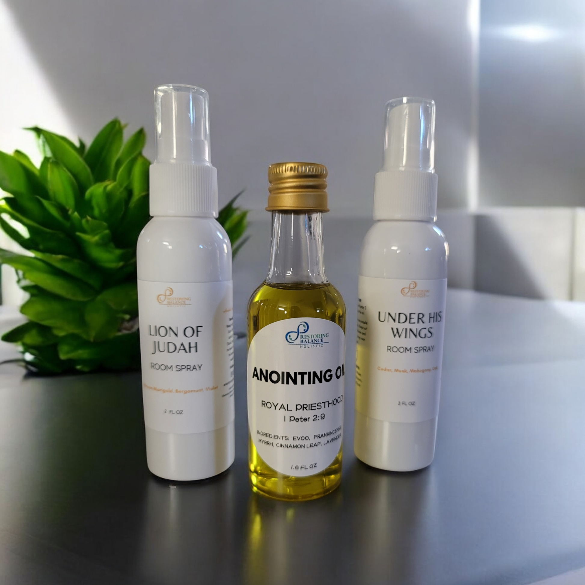 Kingdom Travel Kit - Restoring Balance Shop