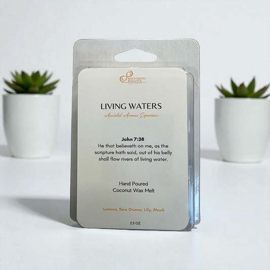 Living Water Anointed Wax Melt - Restoring Balance Shop